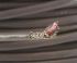 Control Cable liczba żył 3 0,35 mm² Ekranowany Alpha Wire średnica zew 5.03mm Szary