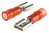 RS PRO Red Insulated Spade Connector, 6.35 x 0.8mm Tab Size, 0.5mm² to 1.5mm²