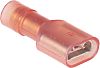 RS PRO Flachsteckhülse, Rot, Isoliert, 6.35 x 0.8mm, Female, 0.5mm² - 1.5mm², 22AWG min