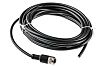 Binder, 763 Series, Straight M12 to Unterminated Cable assembly, 4 Core 5m Cable