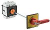 Schneider Electric 3 Pole Panel Mount Non Fused Isolator Switch - 175 A Maximum Current, 55 kW Power Rating, IP20, IP65