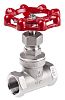 RS PRO Stainless Steel Globe Valve, 3/4 in BSP 32 bar