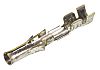 Molex, STANDARD .093" Female Crimp Terminal Contact 18AWG 02-09-1119