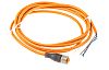 Lumberg Automation Straight Female M12 to Free End Sensor Actuator Cable, 4 Core, 2m