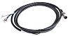 RS PRO M12 to Unterminated Cable assembly, 5 Core 2m Cable