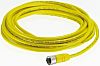 Allen Bradley 889D-F5AC-5 Cordset for GuardShield™ Safety Light Curtain
