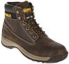 DeWALT Apprentice Brown Steel Toe Capped Men's Safety Boots, UK 12, EU 46