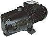 Xylem Lowara, 240 V 6 bar Direct Coupling Water Pump, 50L/min