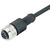 binder Straight Female 3 way M12 to Unterminated Sensor Actuator Cable, 2m