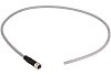 Harting Straight Female 4 way M8 to Unterminated Sensor Actuator Cable, 10m