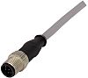 HARTING 2134 Straight Female M12 to Straight Male M12 Sensor Actuator Cable, 8 Core, Polyurethane PUR, 1m